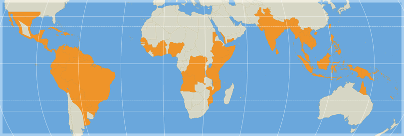 Dengue map